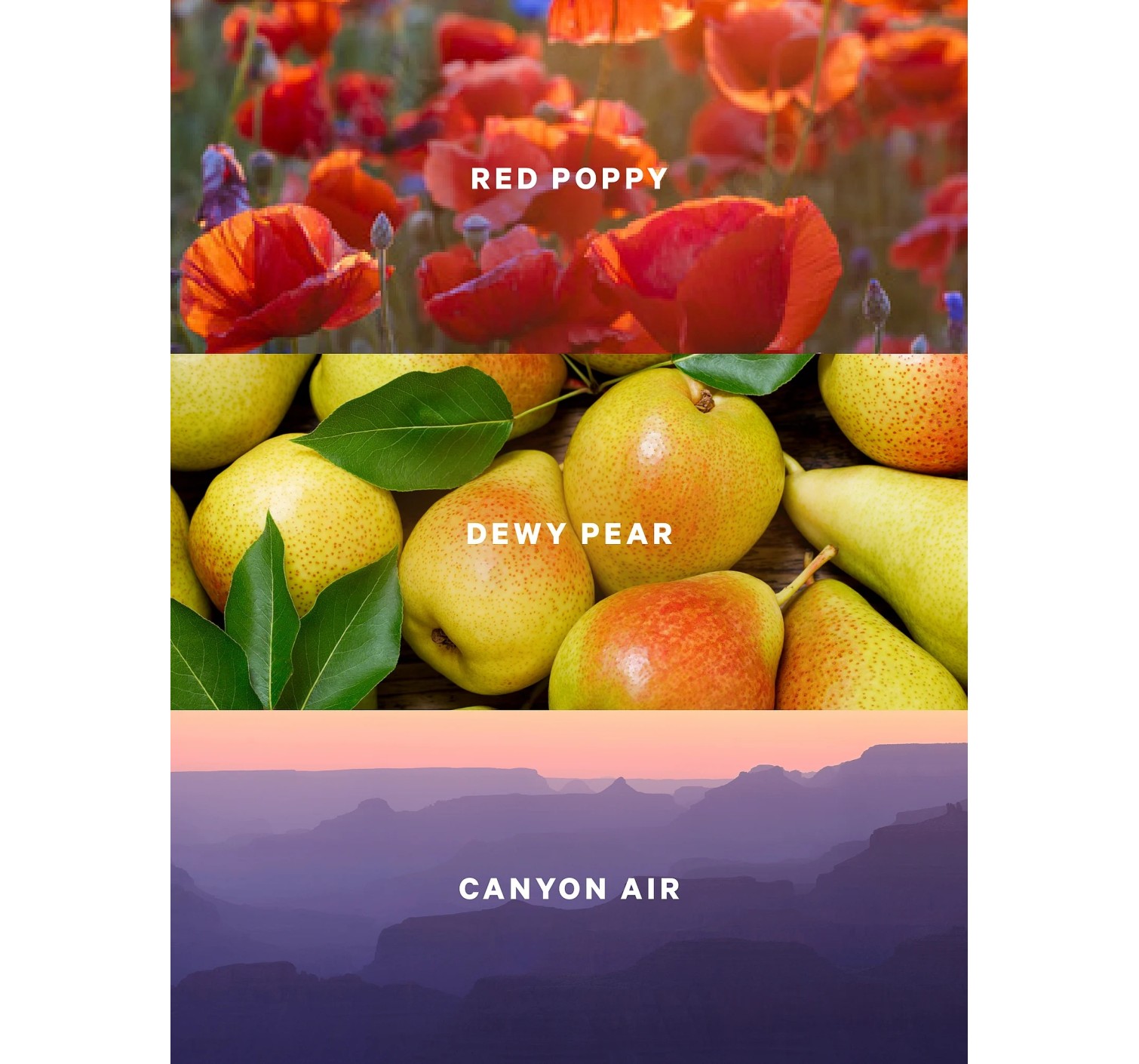Спрей для тела Canyon Bloom