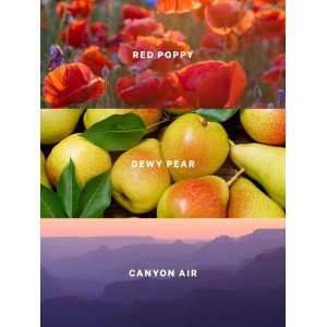 Спрей для тела Canyon Bloom
