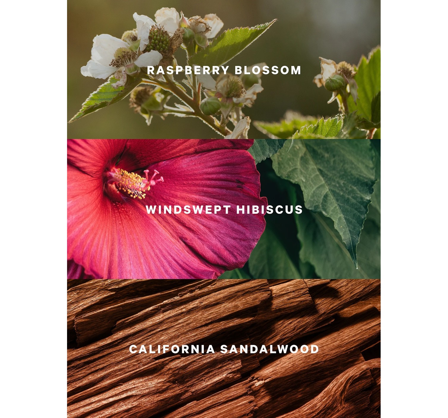 Спрей для тіла Serene Blooms