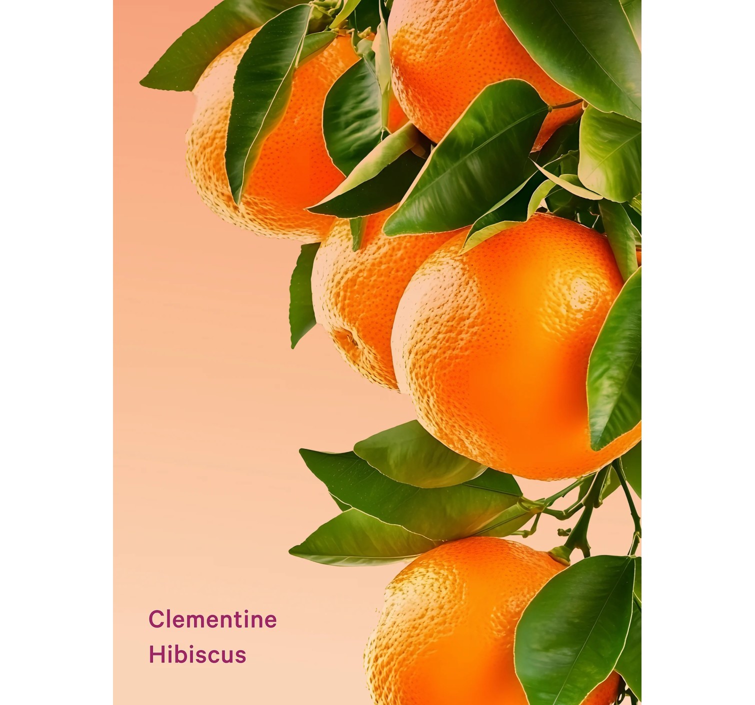 Подарочный набор 3-Piece Clementine Hibiscus Feel Energized Travel Set