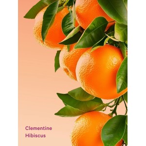 Подарочный набор 3-Piece Clementine Hibiscus Feel Energized Travel Set