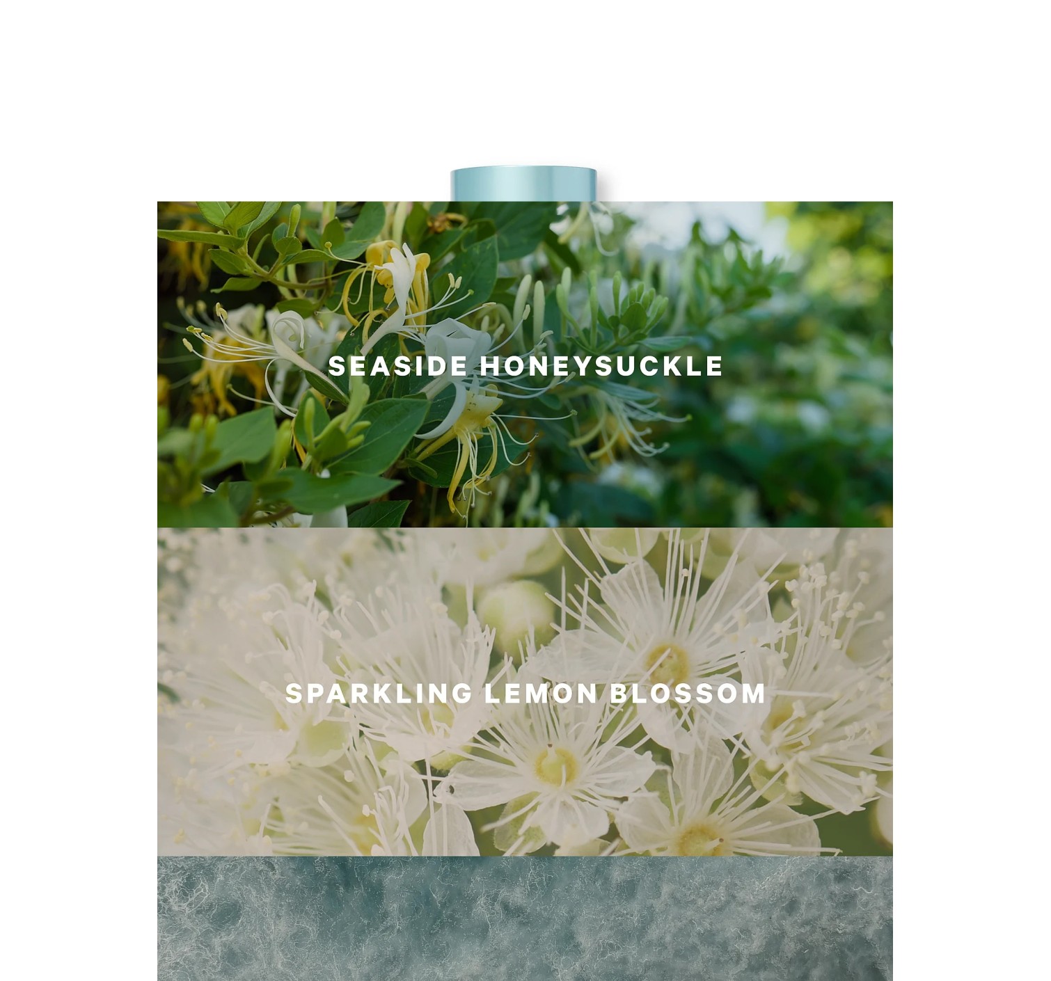 Спрей для тела Coastal Blooms