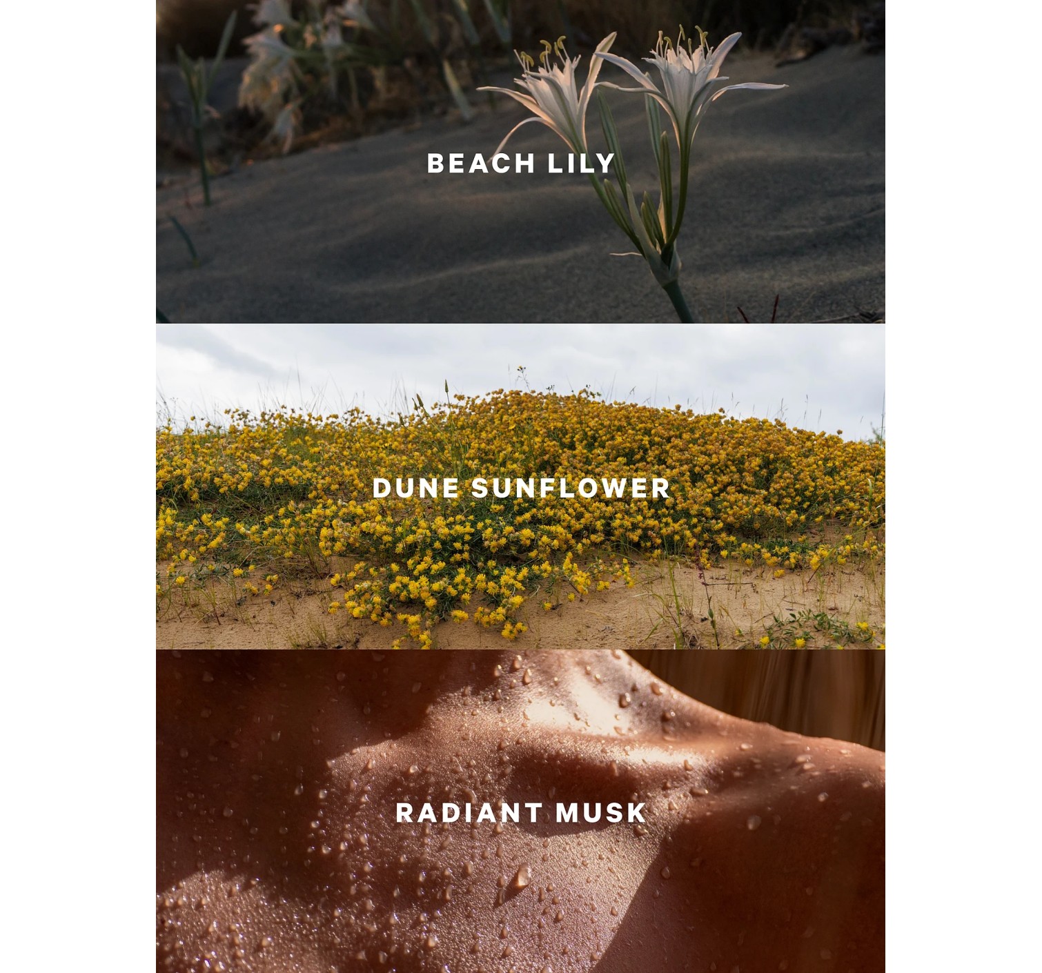 Спрей для тела Sundrenched Blooms