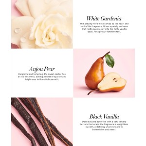 Набор спрей+лосьон Tease Fine Fragrance Set