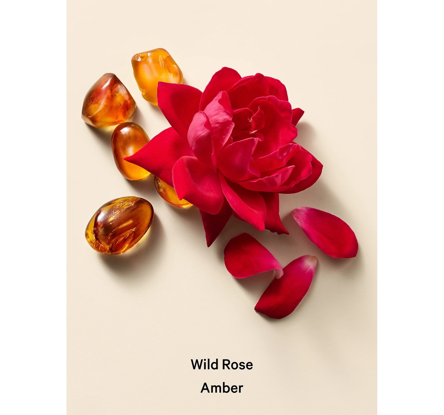Набор Wild Rose Amber Set