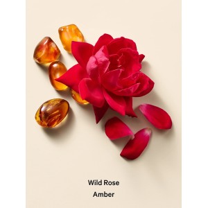 Набор Wild Rose Amber Set