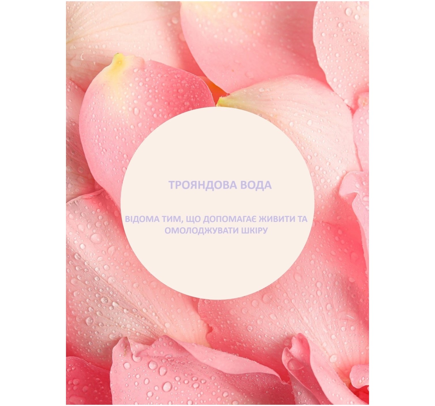Скраб для тела Body Scrub Wild Rose Amber
