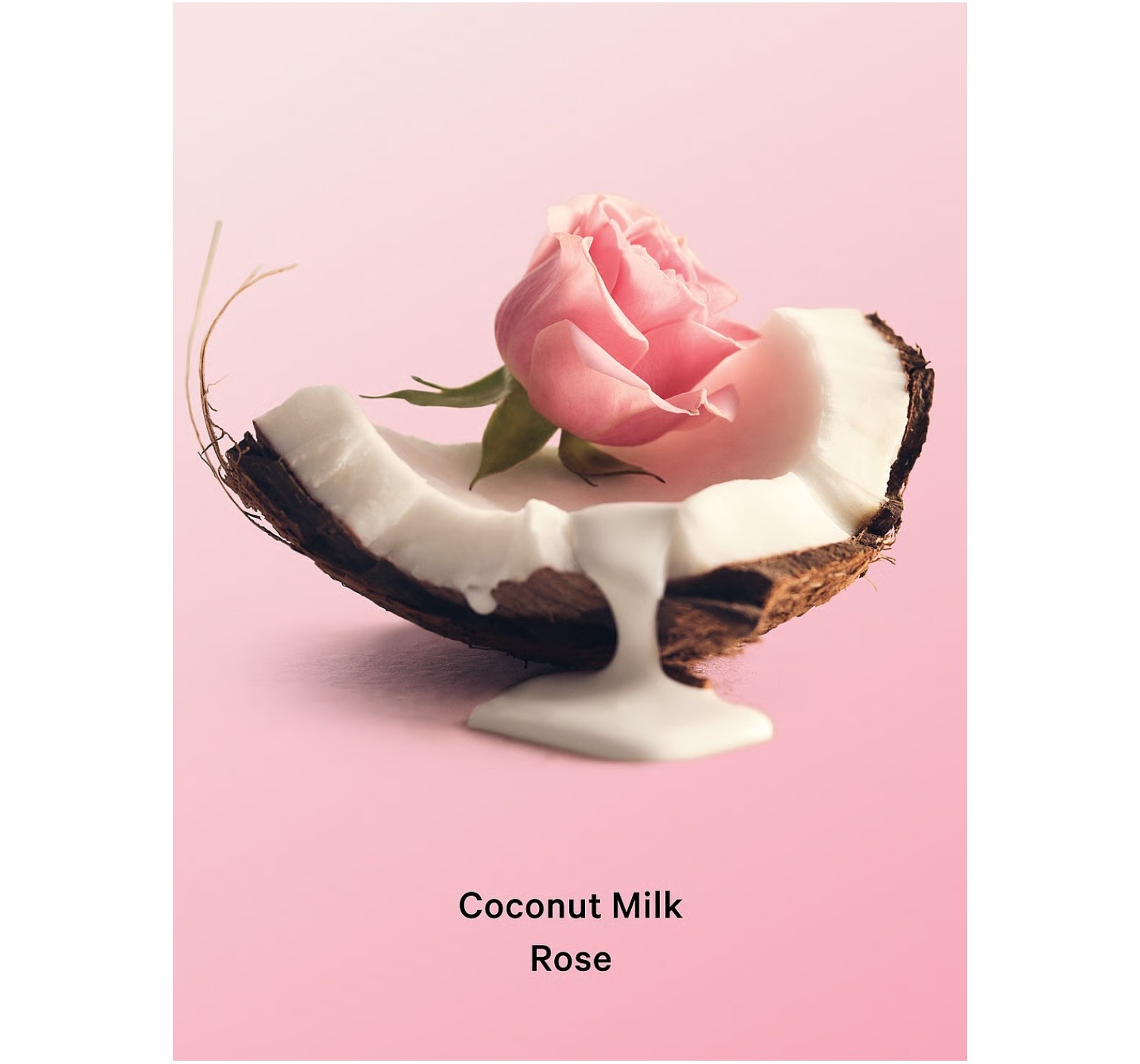 Набір Coconut Milk Rose Set