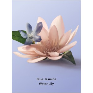 Набор Blue Jasmine Water Lily Set