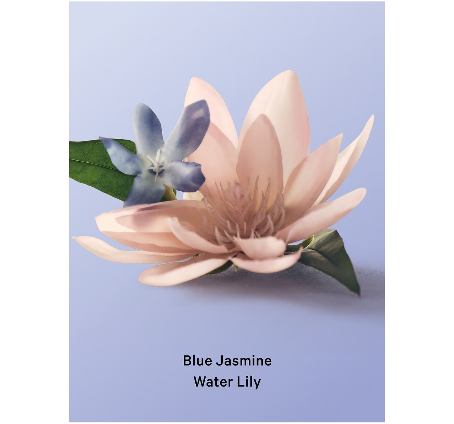Гель для душу Blue Jasmine Water Lily