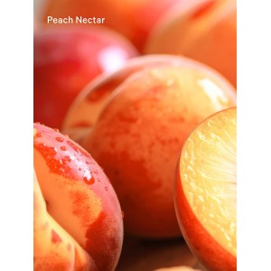 Блеск для губ Peach Nectar Lip Gloss