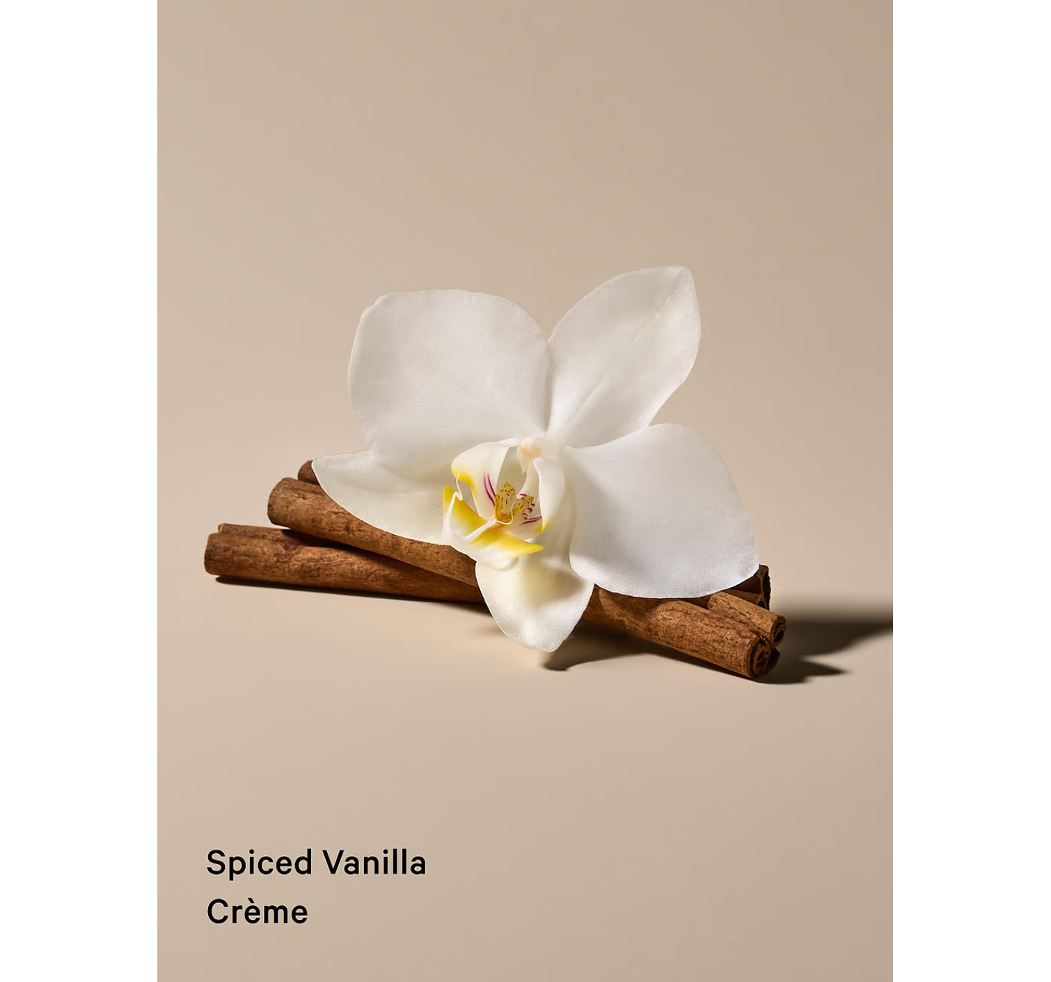 Подарочный Набор Виктория Сикрет Spiced vanilla Feel Toasty 2-Piece Mini Body Mist & Lotion Gift Set