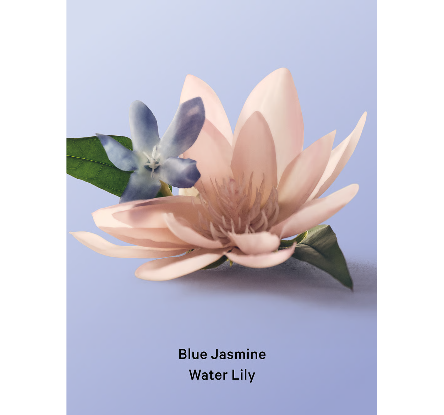 Лосьон Blue Jasmine Water Lily Hydrating Body Lotion