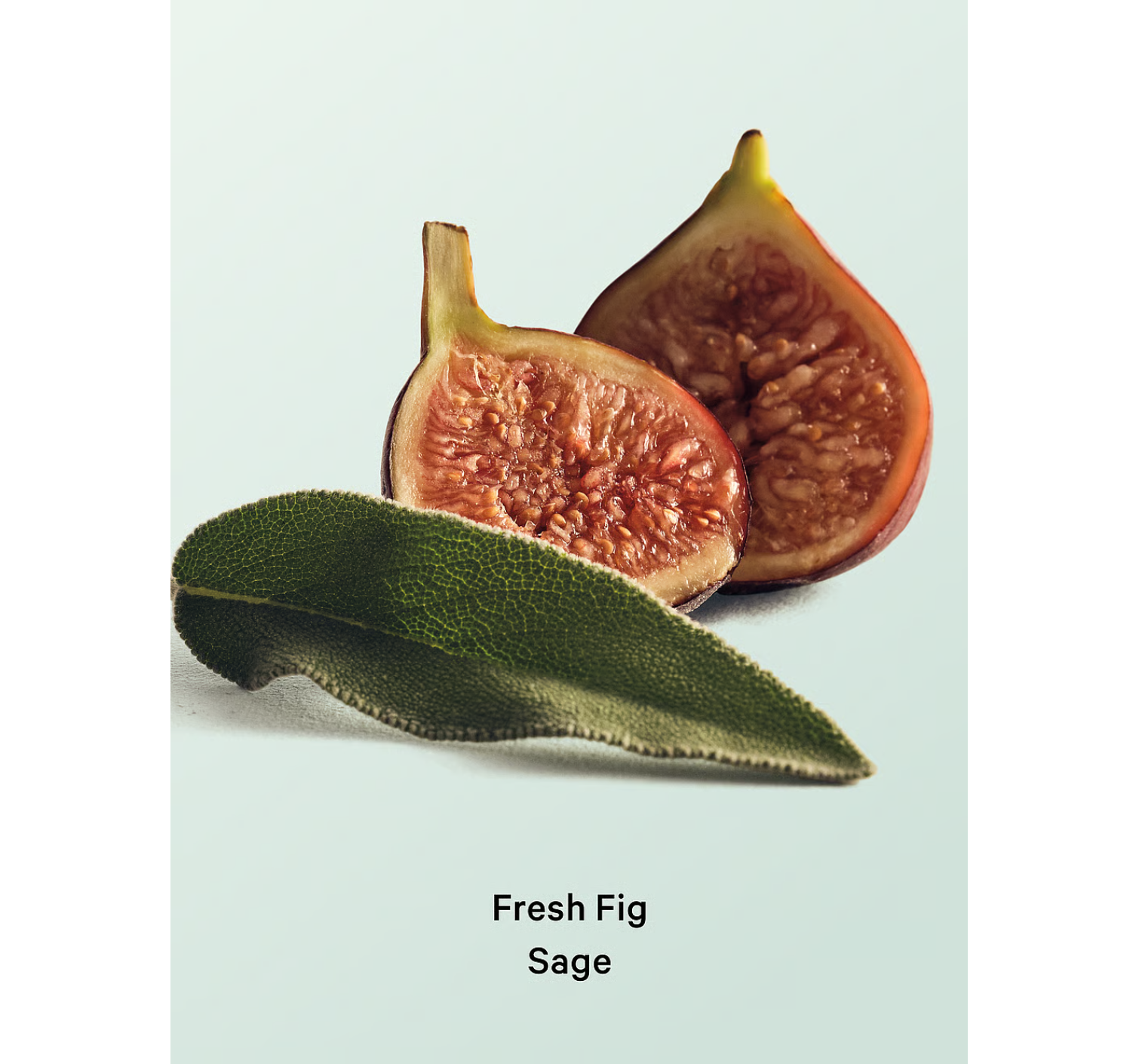 Лосьйон Fresh Fig Sage Hydrating Body Lotion