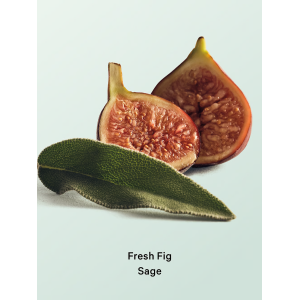 Лосьйон Fresh Fig Sage Hydrating Body Lotion