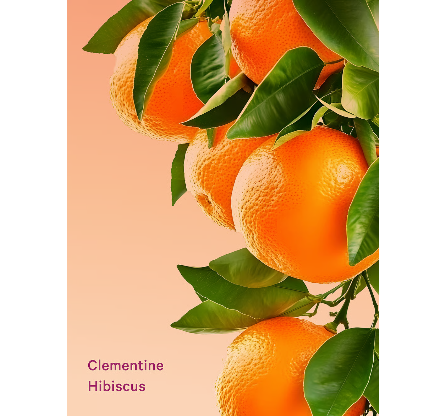 Лосьон Clementine Hibiscus Hydrating Body Lotion