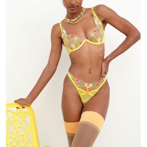 Комплект VS For LOVE & LEMONS Mirabelle Underwire Bra Set