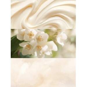 Лосьон Darling Vanilla Jasmine Fragrance Lotion
