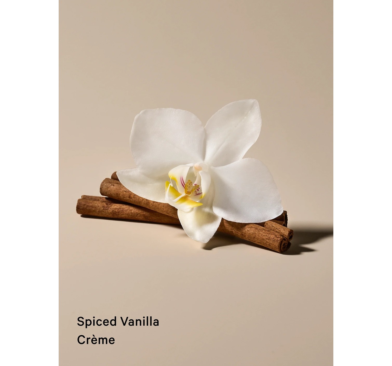 Спрей Spiced Vanilla Crème Feel Toasty Hair & Body Mist