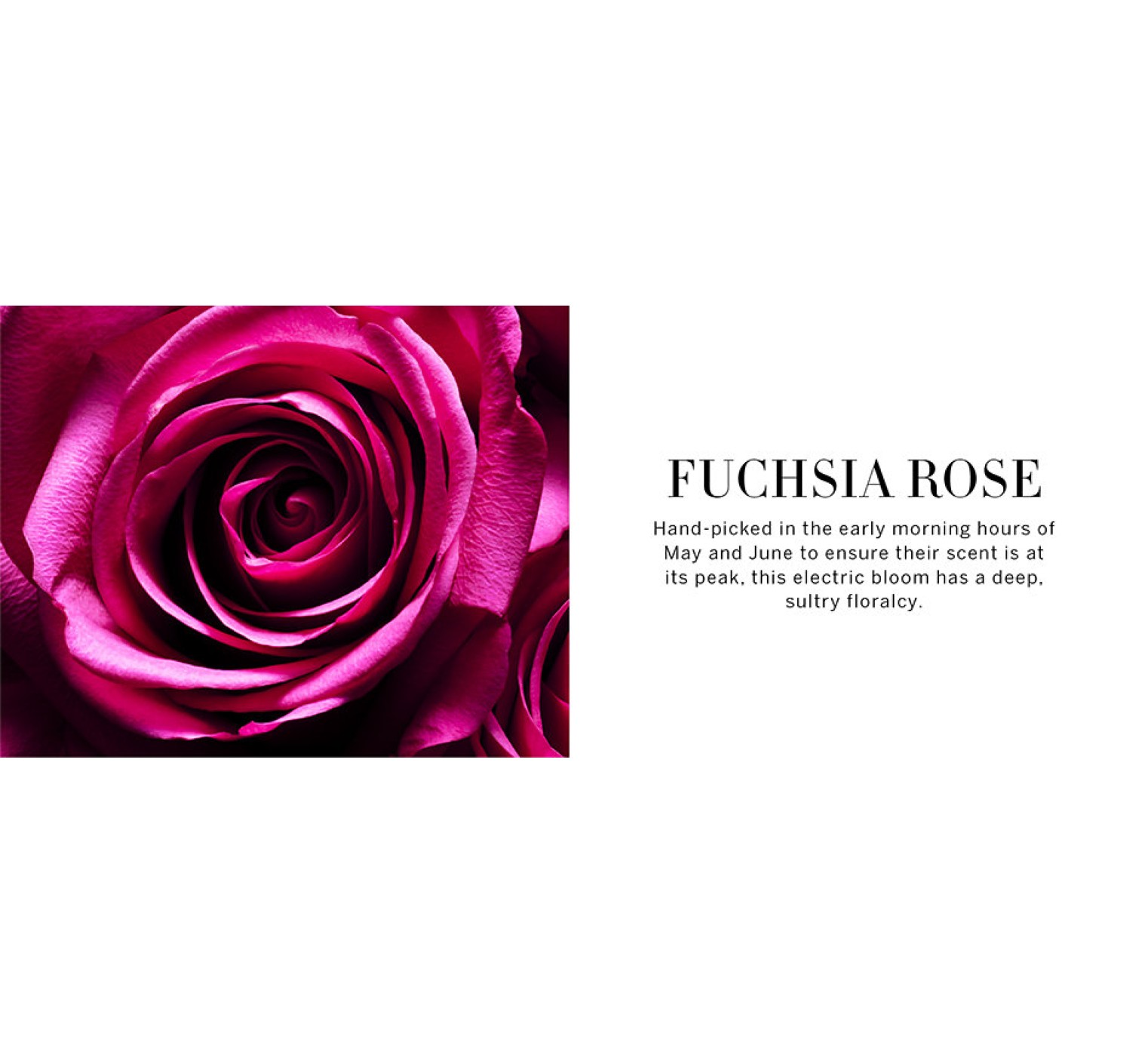 Парфюм Bombshell Passion Victoria’s Secret Eau de Parfum