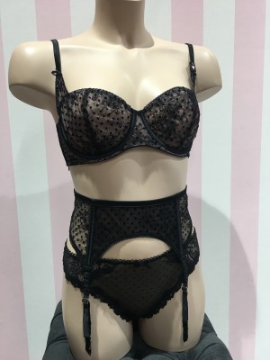 Комплект белья Victoria’s Secret Dream Angel Lace Bra set & Garter