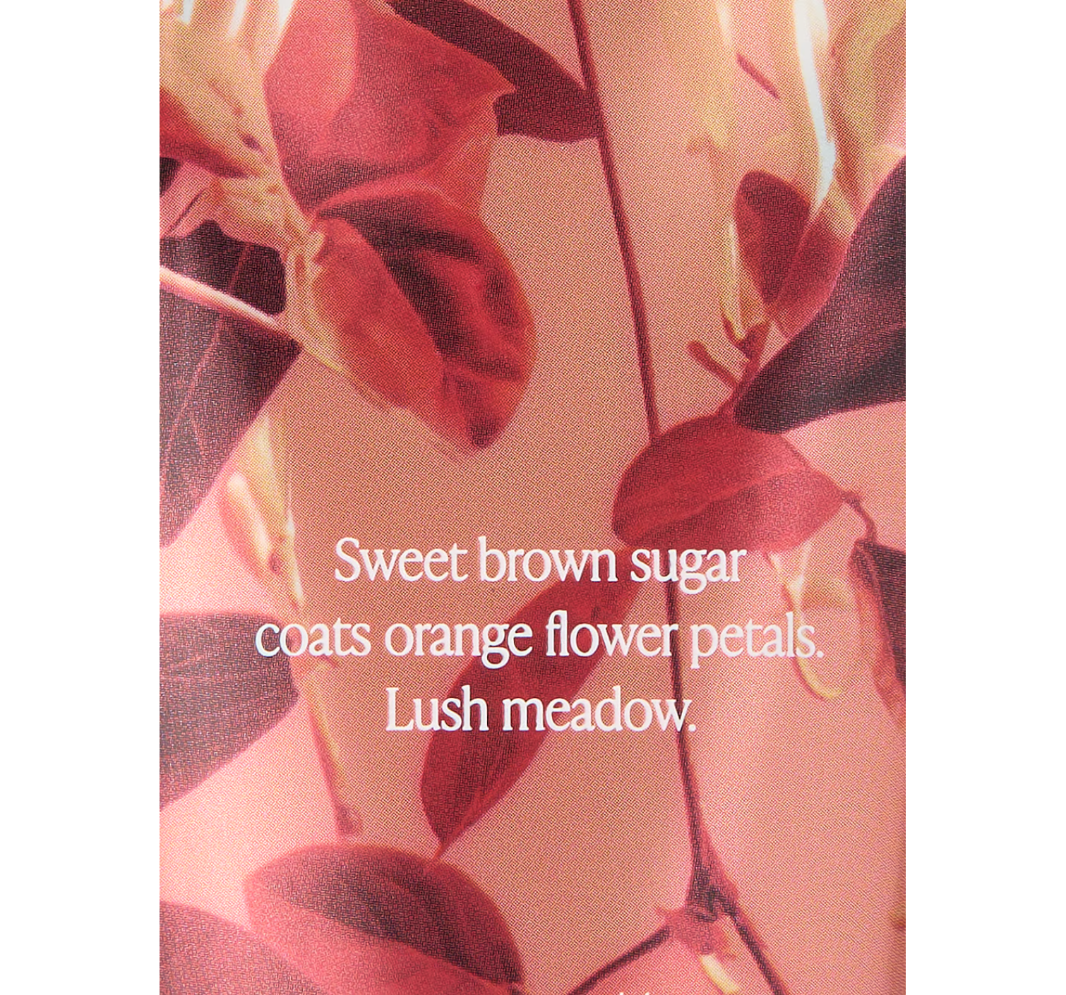 Лосьон Rich Honeysuckle Apricot Body Lotion