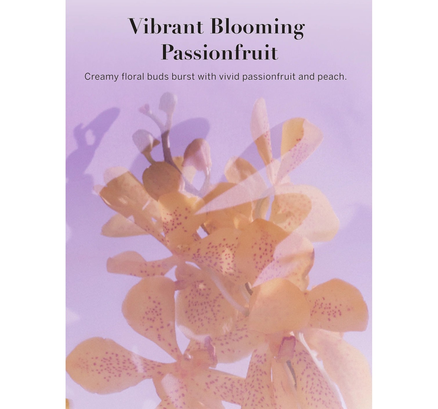 Лосьон Vivid Blooms Fragrance Lotion Vibrant Blooming Passionfruit