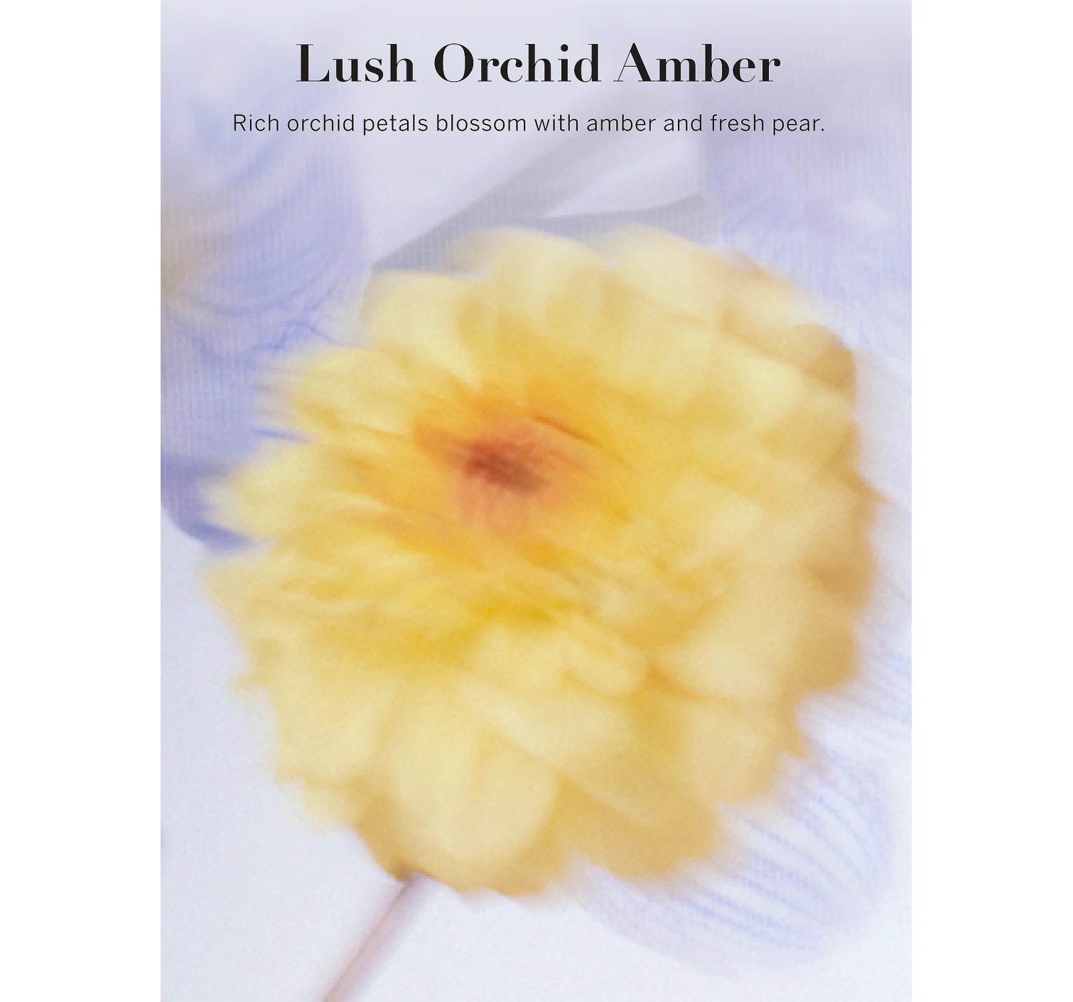 Лосьйон Vivid Blooms Fragrance Lotion Lush Orchid Amber