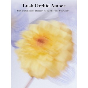 Лосьйон Vivid Blooms Fragrance Lotion Lush Orchid Amber