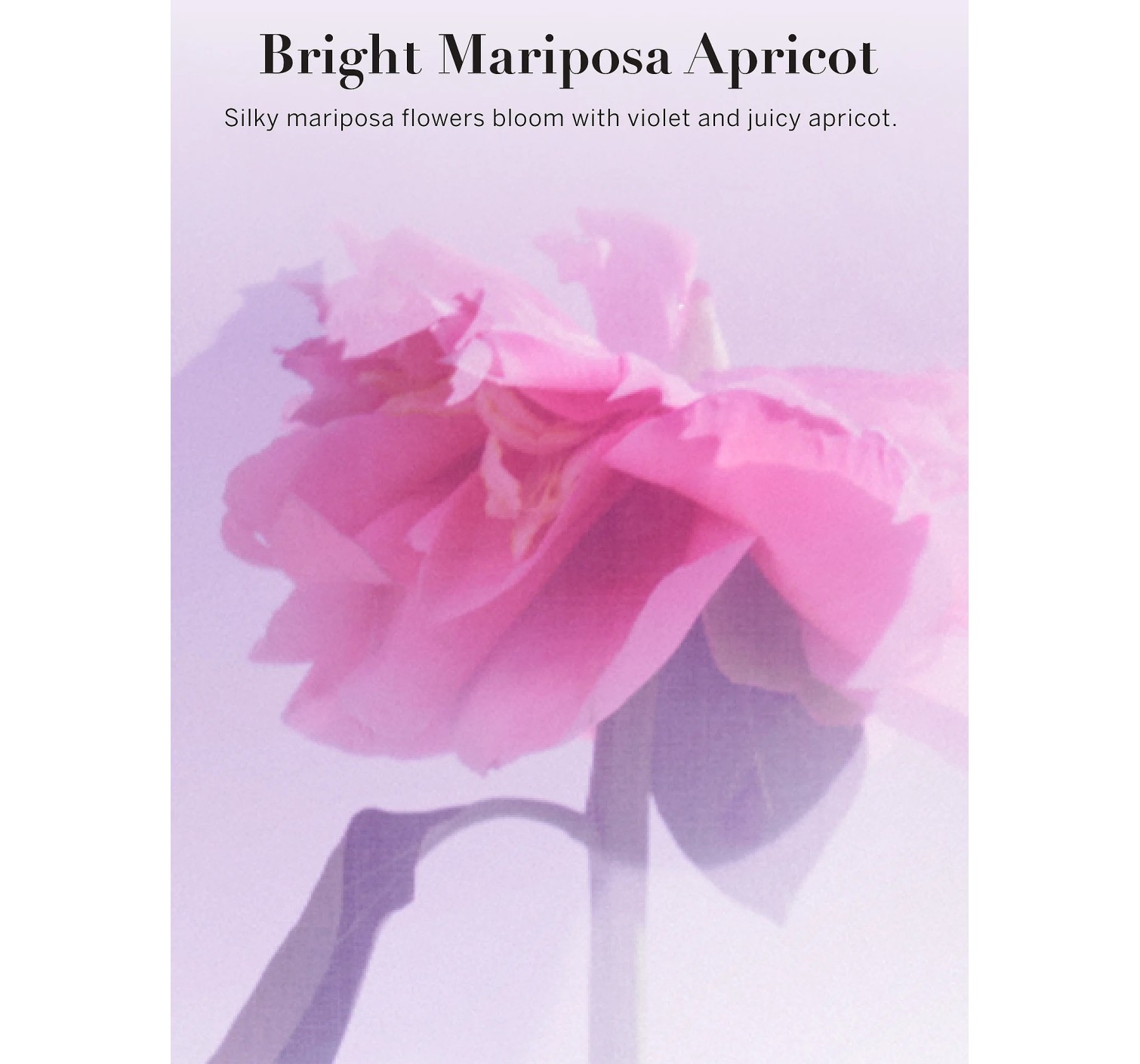 Спрей Vivid Blooms Body Mist Bright Mariposa Apricot