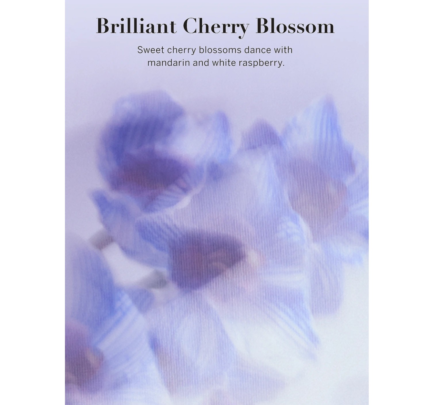 Лосьйон Vivid Blooms Fragrance Lotion Brilliant Cherry Blossom