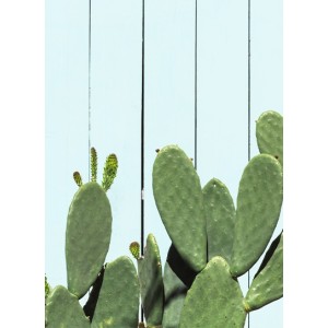 Cactus Water Спрей Вікторія Сікрет