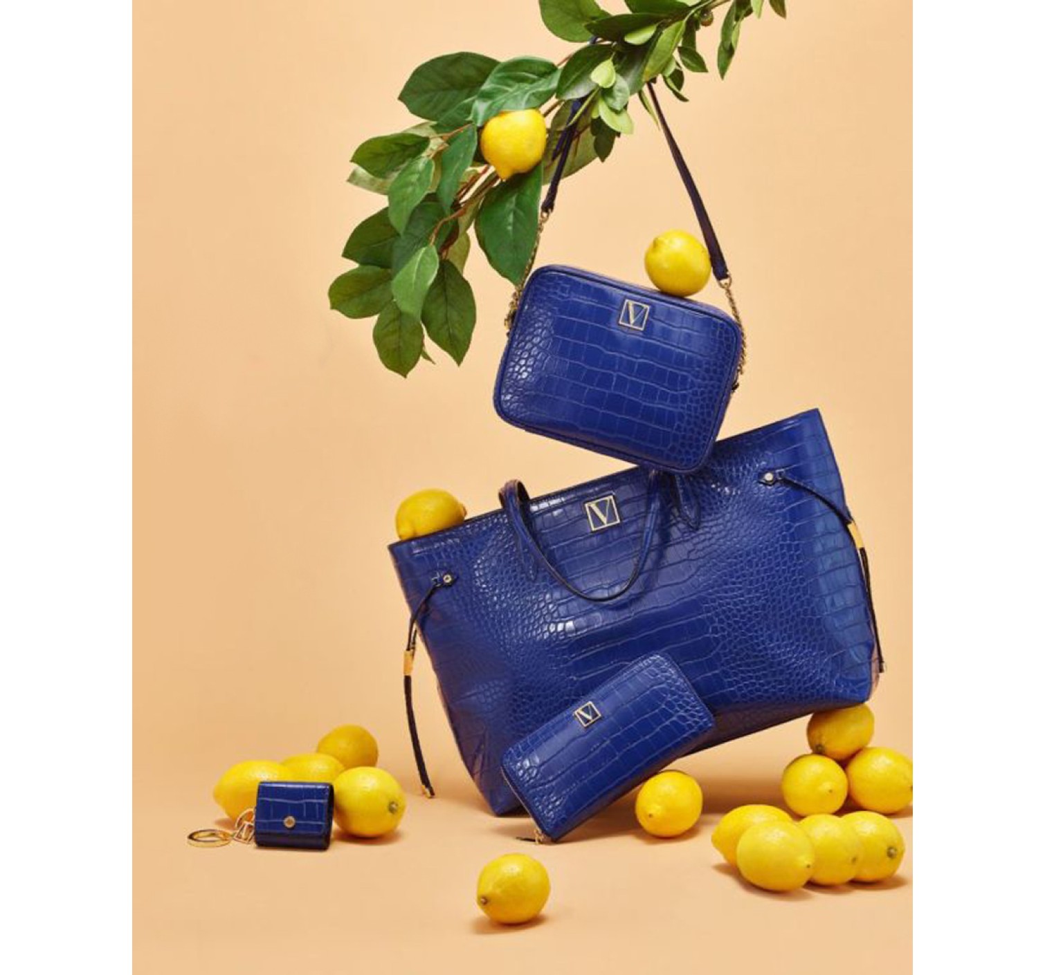 The Victoria Small Wallet Blue V-logo