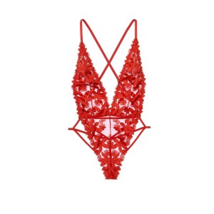 Кружевное боди Victoria’s Secret Floral Embroidered Plunge Teddy Lipstick Lace