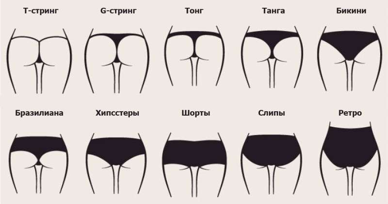 виды женских трусиков